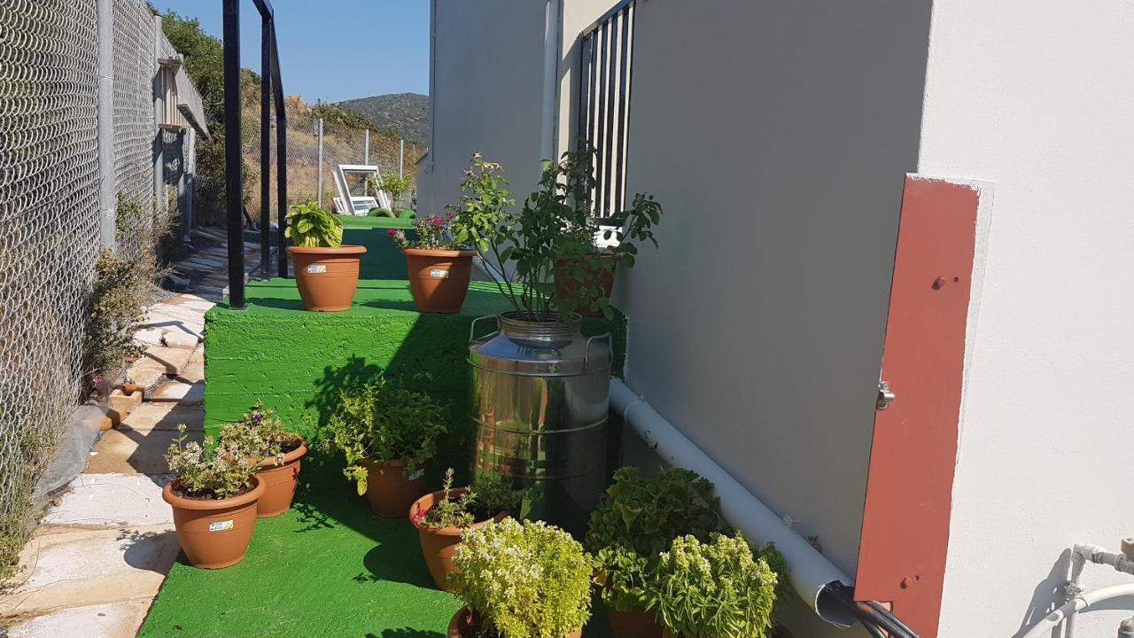 Anatoli Studios Agios Fokas  Kültér fotó